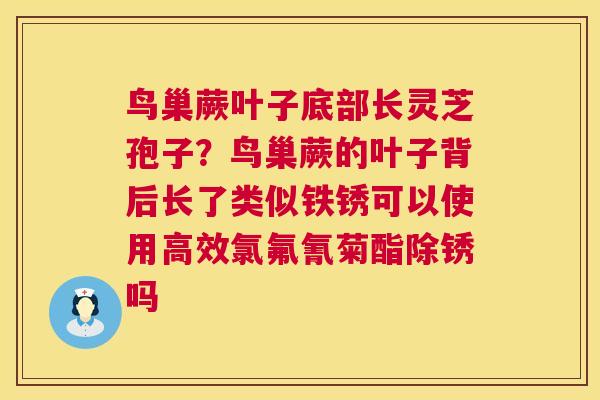 鸟巢蕨叶子底部长灵芝孢子？鸟巢蕨的叶子背后长了类似铁锈可以使用高效氯氟氰菊酯除锈吗  第1张