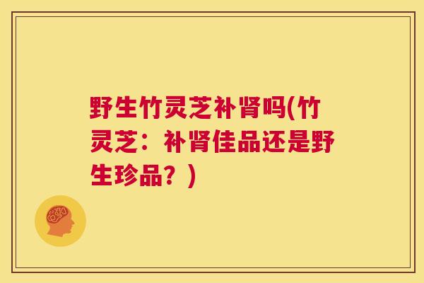 野生竹灵芝补肾吗(竹灵芝：补肾佳品还是野生珍品？)  第1张