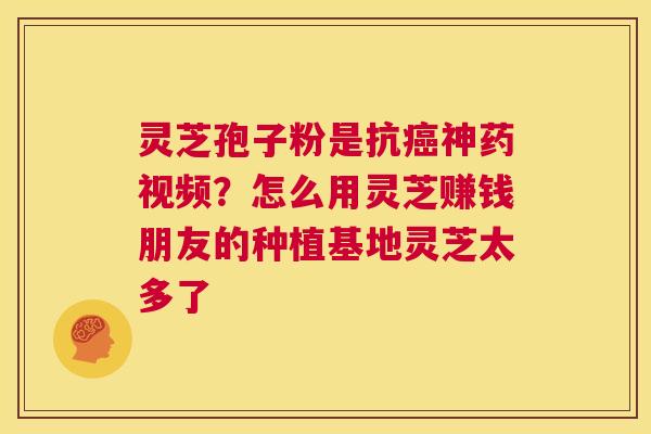 灵芝孢子粉是抗癌神药视频?怎么用灵芝赚钱朋友的种植基地灵芝太多了 第1张 灵芝孢子粉是抗癌神药视频?怎么用灵芝赚钱朋友的种植基地灵芝太多了 第1张
