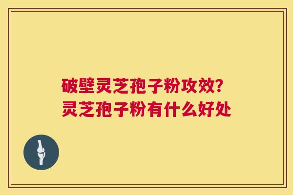 破壁灵芝孢子粉攻效？灵芝孢子粉有什么好处  第1张
