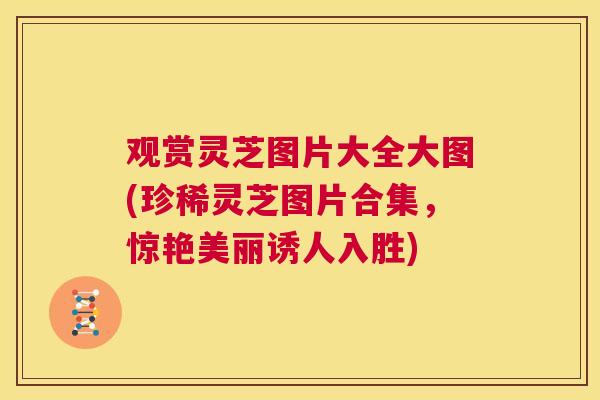 观赏灵芝图片大全大图(珍稀灵芝图片合集，惊艳美丽诱人入胜)  第1张