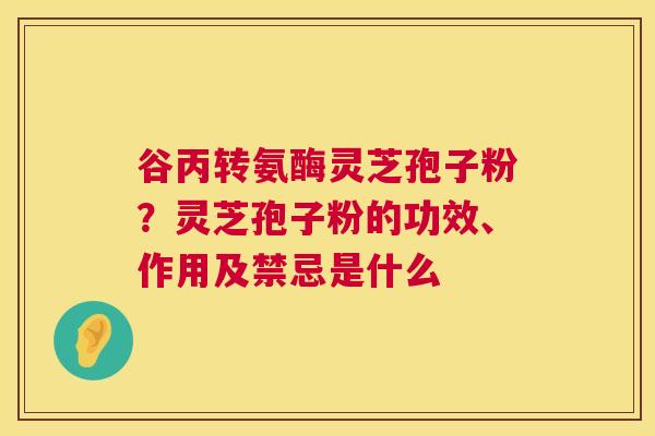 谷丙转氨酶灵芝孢子粉?灵芝孢子粉的功效、作用及禁忌是什么 第1张 谷丙转氨酶灵芝孢子粉?灵芝孢子粉的功效、作用及禁忌是什么 第1张