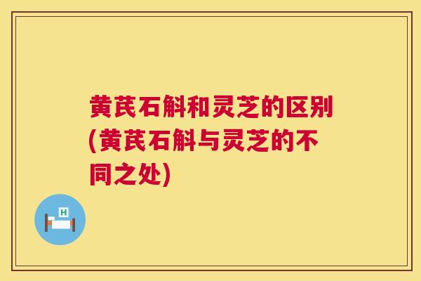 黄芪石斛和灵芝的区别(黄芪石斛与灵芝的不同之处) 第1张 黄芪石斛和灵芝的区别(黄芪石斛与灵芝的不同之处) 第1张