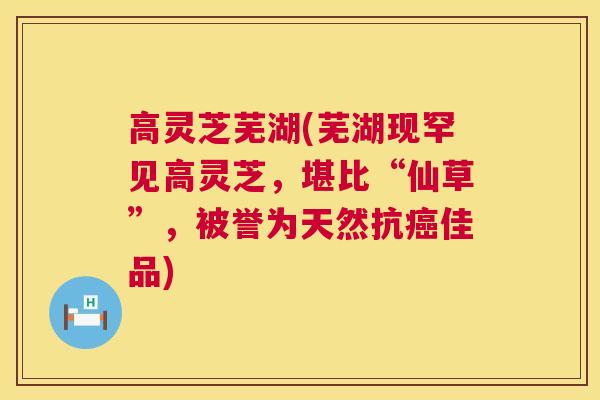 高灵芝芜湖(芜湖现罕见高灵芝,堪比“仙草”,被誉为天然抗癌佳品) 第1张 高灵芝芜湖(芜湖现罕见高灵芝,堪比“仙草”,被誉为天然抗癌佳品) 第1张