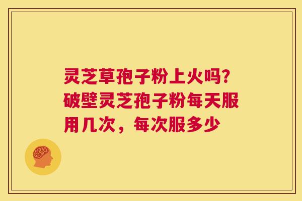 灵芝草孢子粉上火吗？破壁灵芝孢子粉每天服用几次，每次服多少  第1张