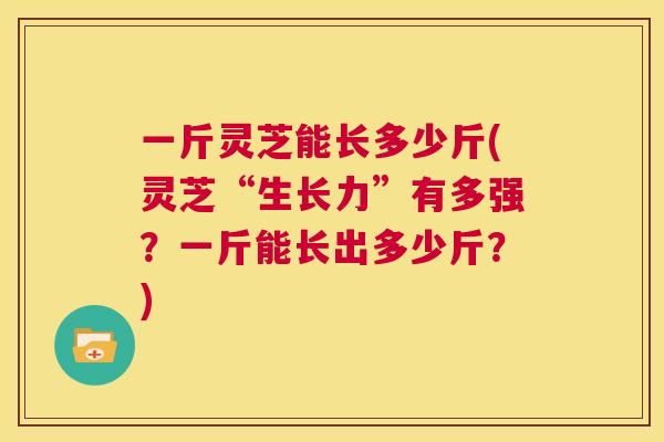 一斤灵芝能长多少斤(灵芝“生长力”有多强?一斤能长出多少斤?) 第1张 一斤灵芝能长多少斤(灵芝“生长力”有多强?一斤能长出多少斤?) 第1张