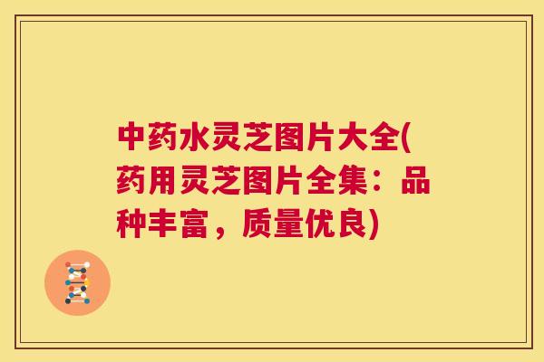 中药水灵芝图片大全(药用灵芝图片全集:品种丰富,质量优良) 第1张 中药水灵芝图片大全(药用灵芝图片全集:品种丰富,质量优良) 第1张