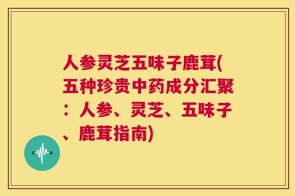 人参灵芝五味子鹿茸(五种珍贵中药成分汇聚:人参、灵芝、五味子、鹿茸指南) 第1张 人参灵芝五味子鹿茸(五种珍贵中药成分汇聚:人参、灵芝、五味子、鹿茸指南) 第1张