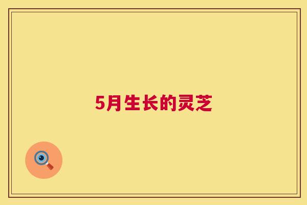 5月生长的灵芝 第1张 5月生长的灵芝 第1张