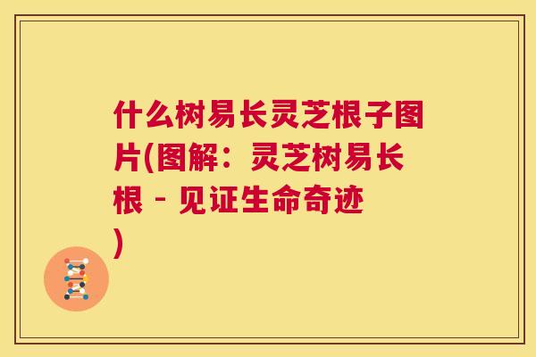 什么树易长灵芝根子图片(图解:灵芝树易长根 - 见证生命奇迹) 第1张 什么树易长灵芝根子图片(图解:灵芝树易长根 - 见证生命奇迹) 第1张