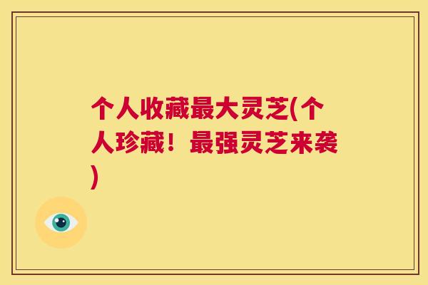 个人收藏最大灵芝(个人珍藏!最强灵芝来袭) 第1张 个人收藏最大灵芝(个人珍藏!最强灵芝来袭) 第1张