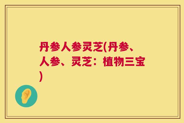 丹参人参灵芝(丹参、人参、灵芝:植物三宝) 第1张 丹参人参灵芝(丹参、人参、灵芝:植物三宝) 第1张