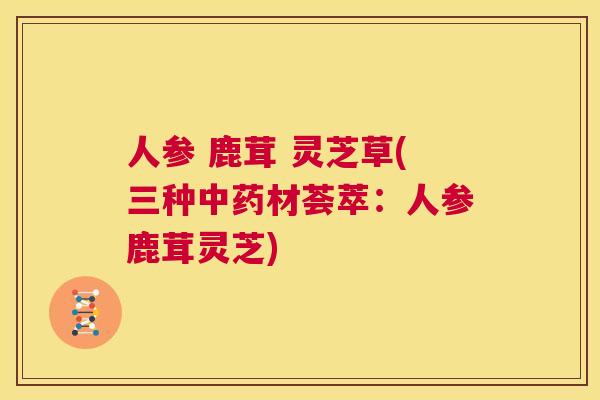 人参 鹿茸 灵芝草(三种中药材荟萃：人参鹿茸灵芝)  第1张