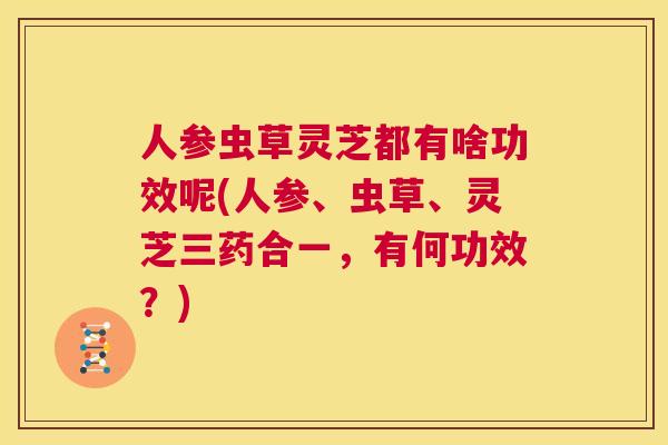 人参虫草灵芝都有啥功效呢(人参、虫草、灵芝三药合一,有何功效?) 第1张 人参虫草灵芝都有啥功效呢(人参、虫草、灵芝三药合一,有何功效?) 第1张