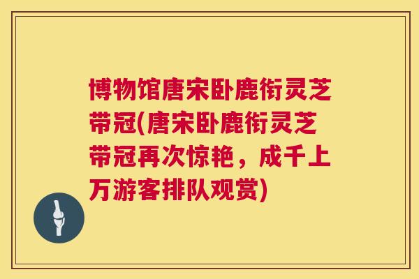 博物馆唐宋卧鹿衔灵芝带冠(唐宋卧鹿衔灵芝带冠再次惊艳,成千上万游客排队观赏) 第1张 博物馆唐宋卧鹿衔灵芝带冠(唐宋卧鹿衔灵芝带冠再次惊艳,成千上万游客排队观赏) 第1张