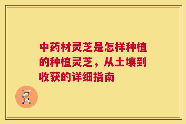 中药材灵芝是怎样种植的种植灵芝,从土壤到收获的详细指南 第1张 中药材灵芝是怎样种植的种植灵芝,从土壤到收获的详细指南 第1张