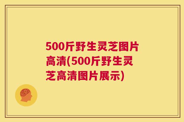 500斤野生灵芝图片高清(500斤野生灵芝高清图片展示) 第1张 500斤野生灵芝图片高清(500斤野生灵芝高清图片展示) 第1张