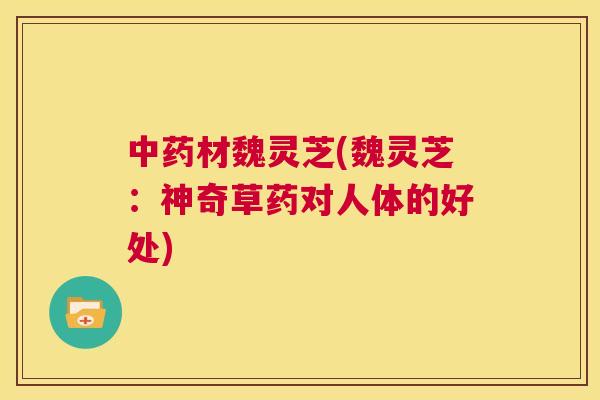 中药材魏灵芝(魏灵芝:神奇草药对人体的好处) 第1张 中药材魏灵芝(魏灵芝:神奇草药对人体的好处) 第1张