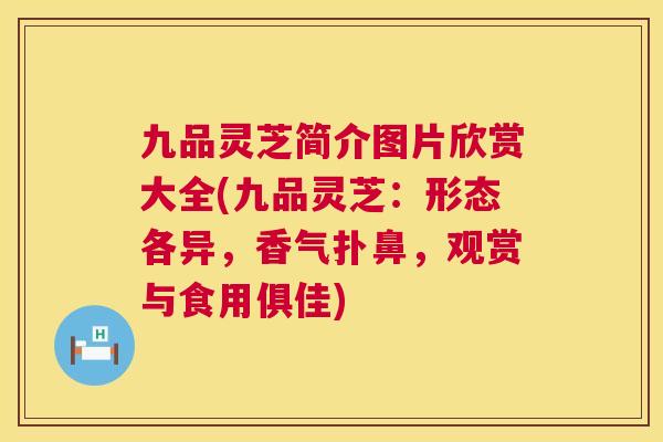 九品灵芝简介图片欣赏大全(九品灵芝:形态各异,香气扑鼻,观赏与食用俱佳) 第1张 九品灵芝简介图片欣赏大全(九品灵芝:形态各异,香气扑鼻,观赏与食用俱佳) 第1张