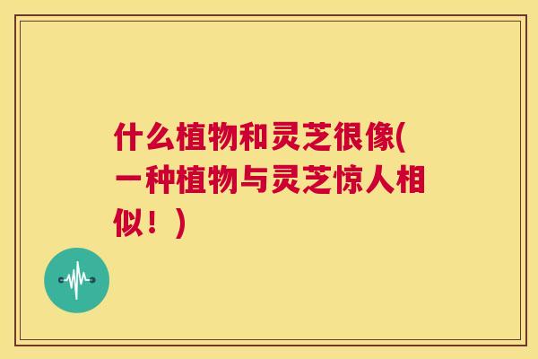 什么植物和灵芝很像(一种植物与灵芝惊人相似!) 第1张 什么植物和灵芝很像(一种植物与灵芝惊人相似!) 第1张