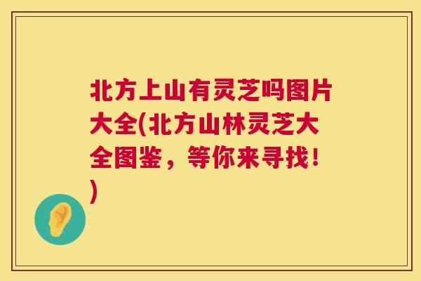 北方上山有灵芝吗图片大全(北方山林灵芝大全图鉴,等你来寻找!) 第1张 北方上山有灵芝吗图片大全(北方山林灵芝大全图鉴,等你来寻找!) 第1张