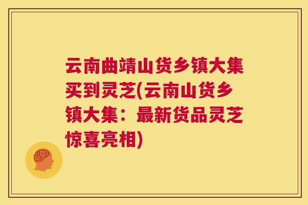 云南曲靖山货乡镇大集买到灵芝(云南山货乡镇大集:最新货品灵芝惊喜亮相) 第1张 云南曲靖山货乡镇大集买到灵芝(云南山货乡镇大集:最新货品灵芝惊喜亮相) 第1张