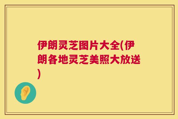 伊朗灵芝图片大全(伊朗各地灵芝美照大放送) 第1张 伊朗灵芝图片大全(伊朗各地灵芝美照大放送) 第1张