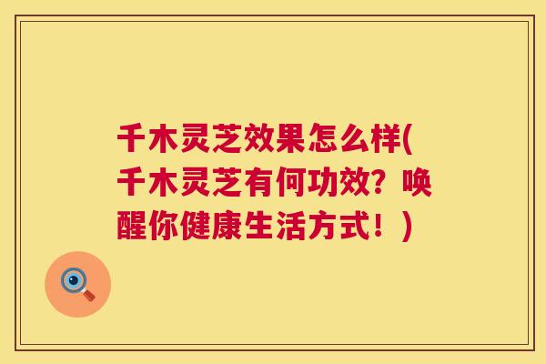 千木灵芝效果怎么样(千木灵芝有何功效?唤醒你健康生活方式!) 第1张 千木灵芝效果怎么样(千木灵芝有何功效?唤醒你健康生活方式!) 第1张