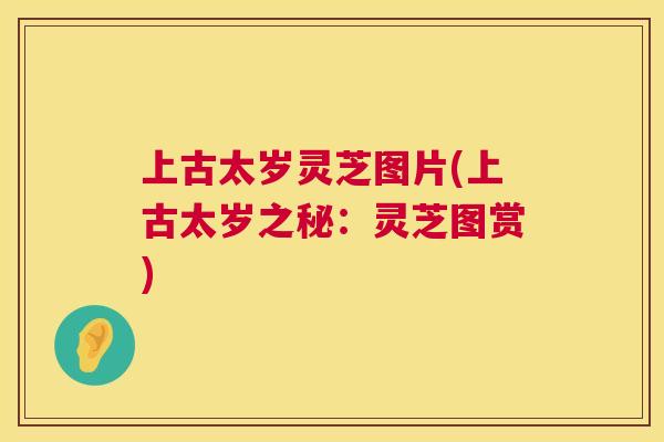 上古太岁灵芝图片(上古太岁之秘:灵芝图赏) 第1张 上古太岁灵芝图片(上古太岁之秘:灵芝图赏) 第1张