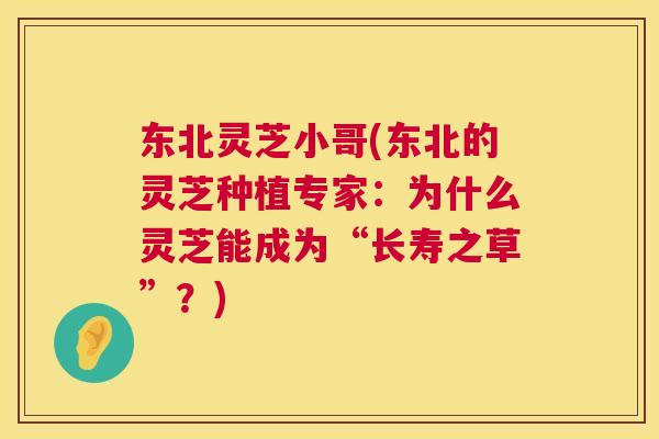 东北灵芝小哥(东北的灵芝种植专家:为什么灵芝能成为“长寿之草”?) 第1张 东北灵芝小哥(东北的灵芝种植专家:为什么灵芝能成为“长寿之草”?) 第1张