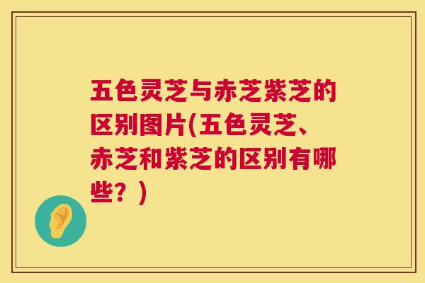 五色灵芝与赤芝紫芝的区别图片(五色灵芝、赤芝和紫芝的区别有哪些?) 第1张 五色灵芝与赤芝紫芝的区别图片(五色灵芝、赤芝和紫芝的区别有哪些?) 第1张