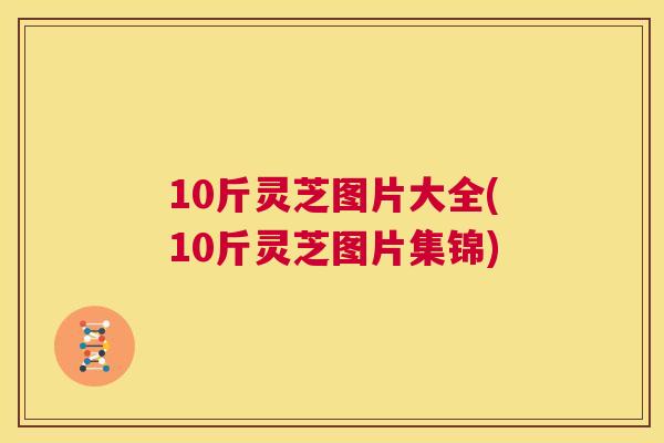 10斤灵芝图片大全(10斤灵芝图片集锦) 第1张 10斤灵芝图片大全(10斤灵芝图片集锦) 第1张