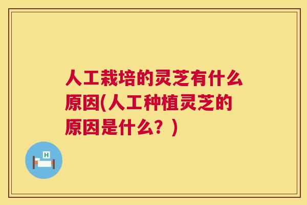 人工栽培的灵芝有什么原因(人工种植灵芝的原因是什么?) 第1张 人工栽培的灵芝有什么原因(人工种植灵芝的原因是什么?) 第1张