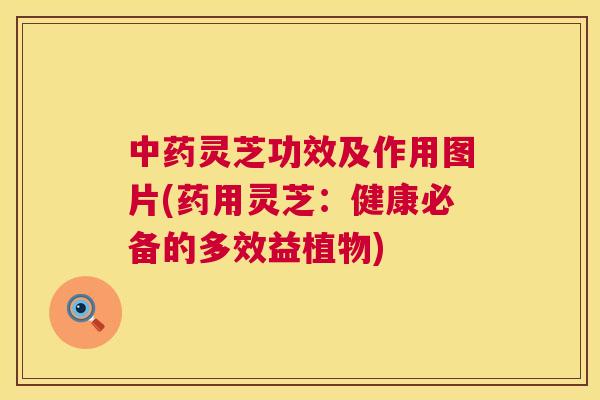 中药灵芝功效及作用图片(药用灵芝:健康必备的多效益植物) 第1张 中药灵芝功效及作用图片(药用灵芝:健康必备的多效益植物) 第1张
