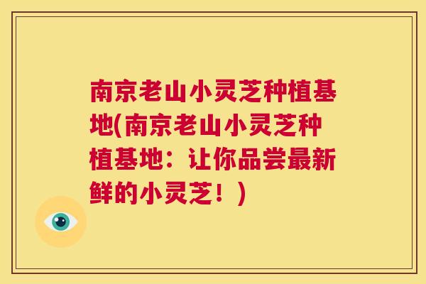 南京老山小灵芝种植基地(南京老山小灵芝种植基地：让你品尝最新鲜的小灵芝！)  第1张