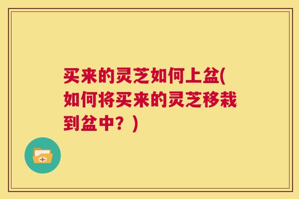 买来的灵芝如何上盆(如何将买来的灵芝移栽到盆中?) 第1张 买来的灵芝如何上盆(如何将买来的灵芝移栽到盆中?) 第1张