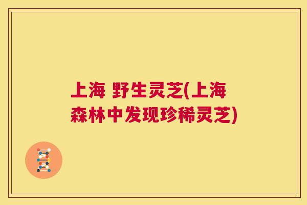 上海 野生灵芝(上海森林中发现珍稀灵芝) 第1张 上海 野生灵芝(上海森林中发现珍稀灵芝) 第1张