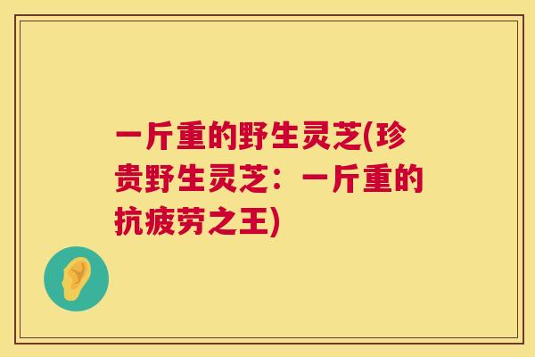 一斤重的野生灵芝(珍贵野生灵芝:一斤重的抗疲劳之王) 第1张 一斤重的野生灵芝(珍贵野生灵芝:一斤重的抗疲劳之王) 第1张