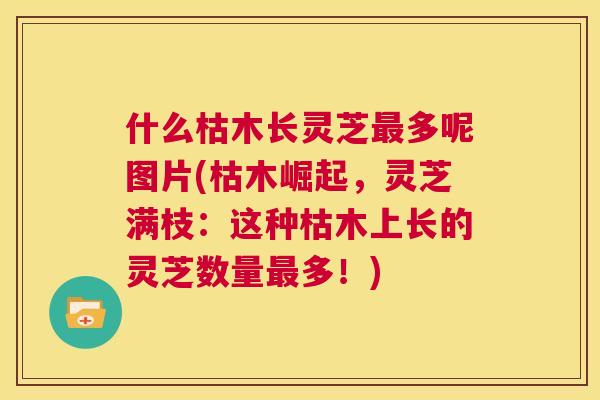 什么枯木长灵芝最多呢图片(枯木崛起,灵芝满枝:这种枯木上长的灵芝数量最多!) 第1张 什么枯木长灵芝最多呢图片(枯木崛起,灵芝满枝:这种枯木上长的灵芝数量最多!) 第1张