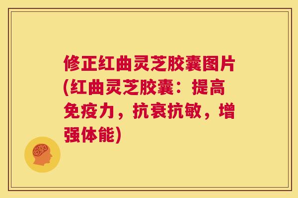 修正红曲灵芝胶囊图片(红曲灵芝胶囊:提高免疫力,抗衰抗敏,增强体能) 第1张 修正红曲灵芝胶囊图片(红曲灵芝胶囊:提高免疫力,抗衰抗敏,增强体能) 第1张