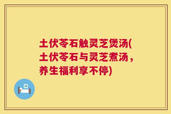 土伏苓石触灵芝煲汤(土伏苓石与灵芝煮汤,养生福利享不停) 第1张 土伏苓石触灵芝煲汤(土伏苓石与灵芝煮汤,养生福利享不停) 第1张