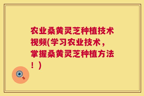 农业桑黄灵芝种植技术视频(学习农业技术，掌握桑黄灵芝种植方法！)  第1张