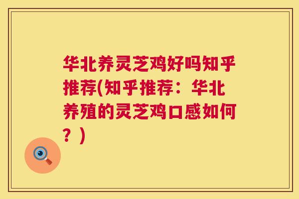 华北养灵芝鸡好吗知乎推荐(知乎推荐：华北养殖的灵芝鸡口感如何？)  第1张