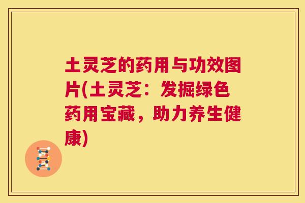 土灵芝的药用与功效图片(土灵芝:发掘绿色药用宝藏,助力养生健康) 第1张 土灵芝的药用与功效图片(土灵芝:发掘绿色药用宝藏,助力养生健康) 第1张