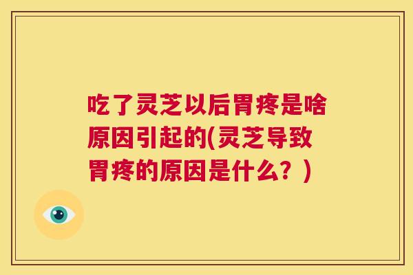 吃了灵芝以后胃疼是啥原因引起的(灵芝导致胃疼的原因是什么?) 第1张 吃了灵芝以后胃疼是啥原因引起的(灵芝导致胃疼的原因是什么?) 第1张