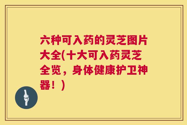 六种可入药的灵芝图片大全(十大可入药灵芝全览,身体健康护卫神器!) 第1张 六种可入药的灵芝图片大全(十大可入药灵芝全览,身体健康护卫神器!) 第1张