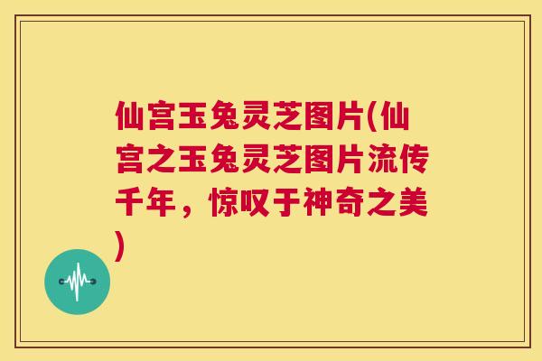 仙宫玉兔灵芝图片(仙宫之玉兔灵芝图片流传千年，惊叹于神奇之美)  第1张