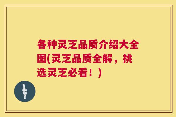 各种灵芝品质介绍大全图(灵芝品质全解,挑选灵芝必看!) 第1张 各种灵芝品质介绍大全图(灵芝品质全解,挑选灵芝必看!) 第1张