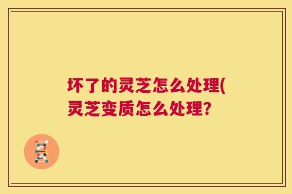坏了的灵芝怎么处理(灵芝变质怎么处理? 第1张 坏了的灵芝怎么处理(灵芝变质怎么处理? 第1张