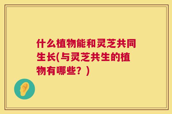 什么植物能和灵芝共同生长(与灵芝共生的植物有哪些?) 第1张 什么植物能和灵芝共同生长(与灵芝共生的植物有哪些?) 第1张